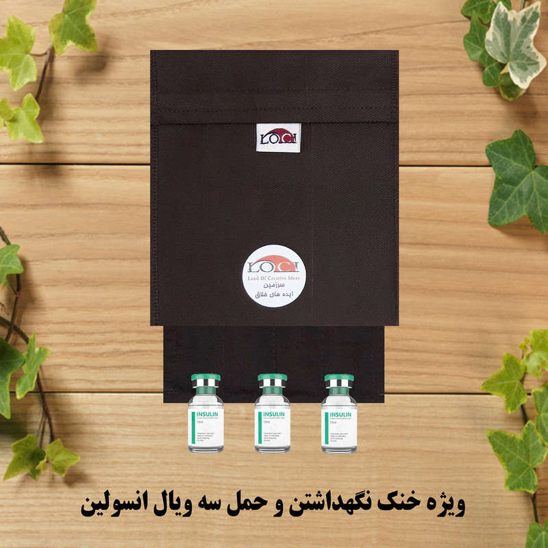 کیف خنک نگهدارنده انسولین لوک آی مدل 3 ویال کد 00 مجموعه 2 عددی
