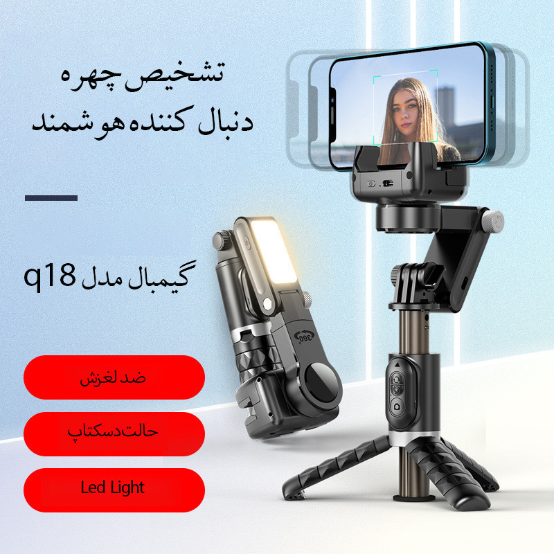 گیمبال و لرزشگیر مدل Q18