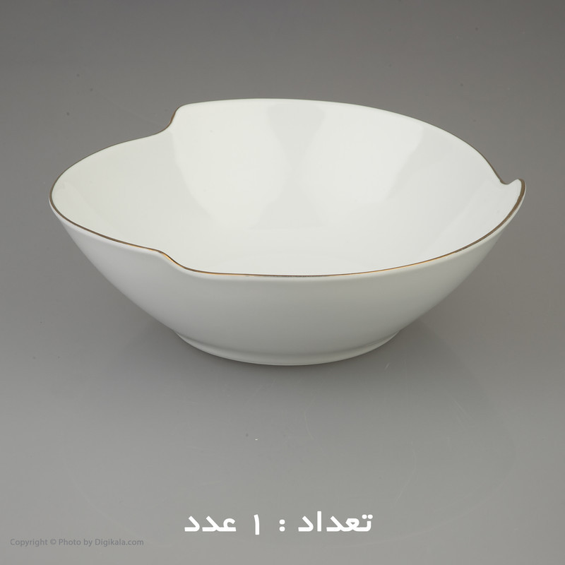 سرویس غذا خوری 30 پارچه شرکت صنایع چینی تقدیس مدل خط طلا