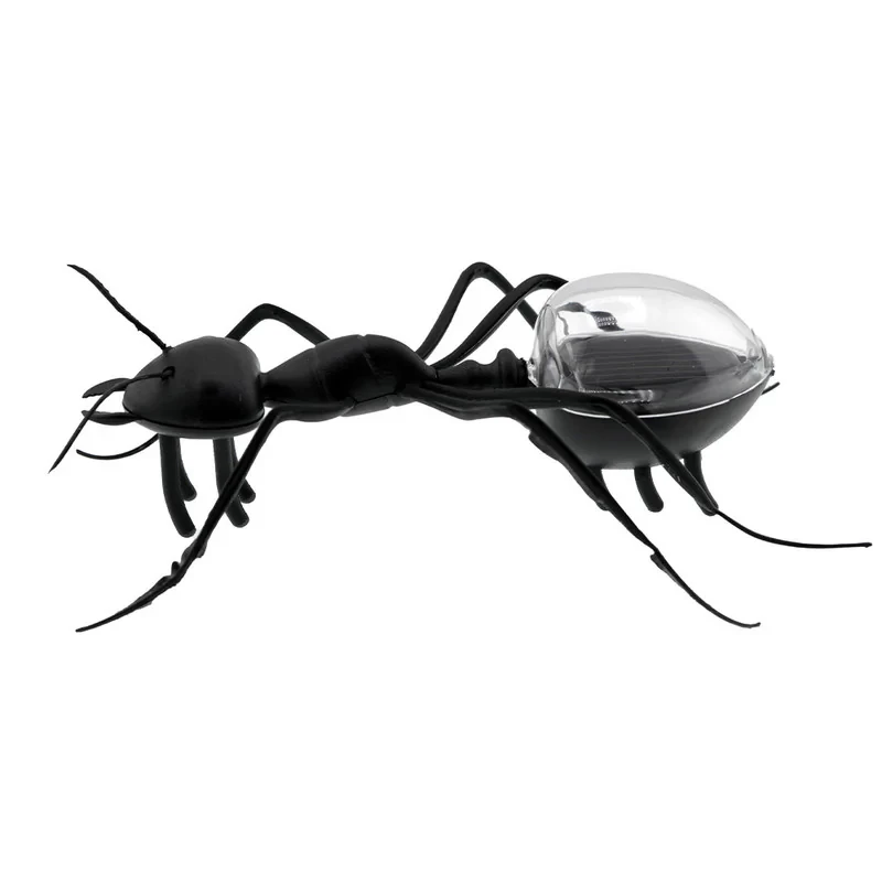 اسباب بازی زینتی برانت مدل خورشیدی طرح مورچه