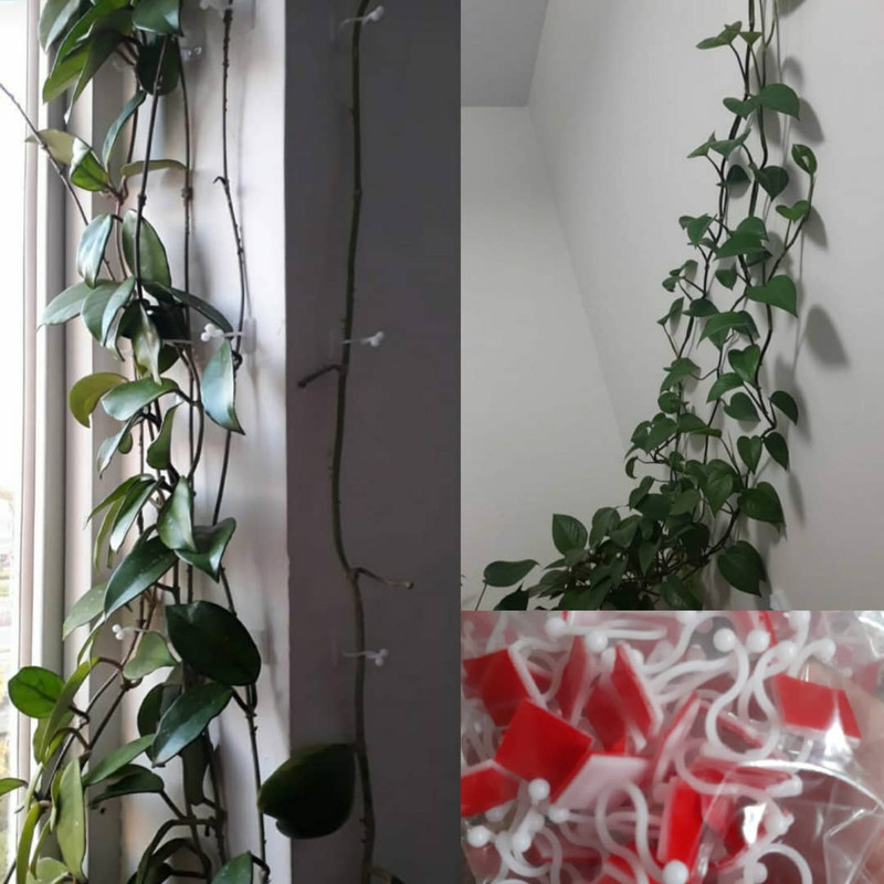 گیره مدل پتوس بسته 30 عددی