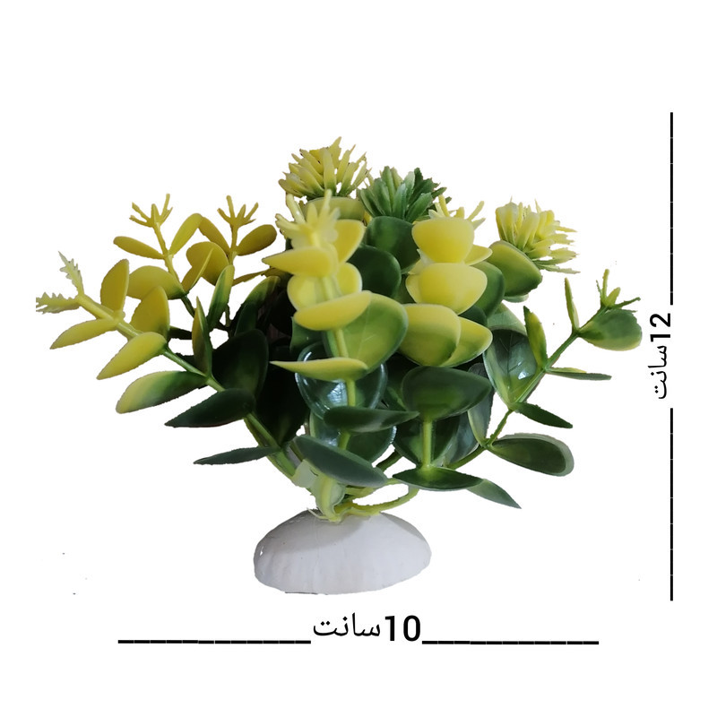 گیاه تزیینی آکواریوم مدل بنسای کوچک