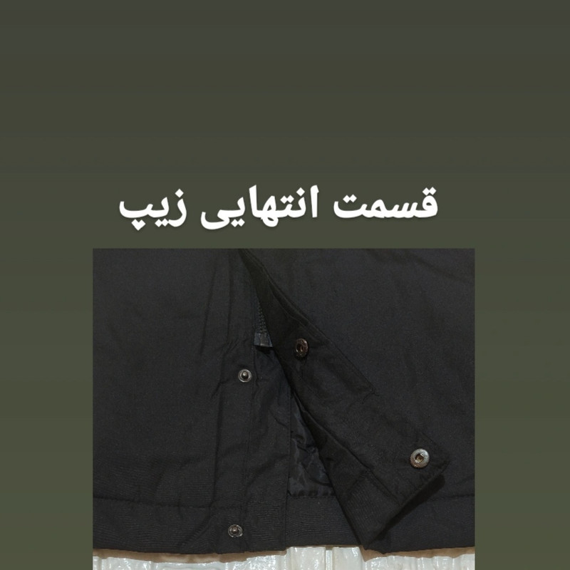 کاپشن مردانه الویت مدل LL3434
