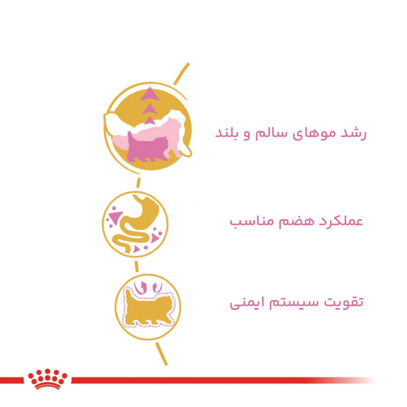 غذای خشک بچه گربه رویال کنین مدل Persian Kitten وزن 2 کیلوگرم به همراه پوچ وزن 85 گرم