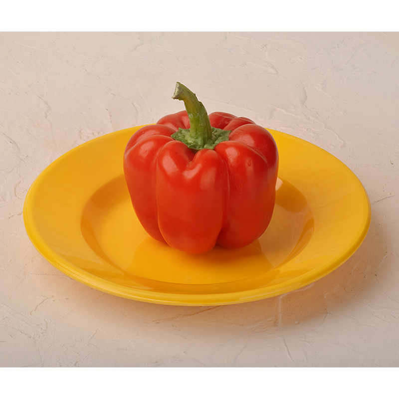 بشقاب خورش خوری مهروز مدل SE-T415