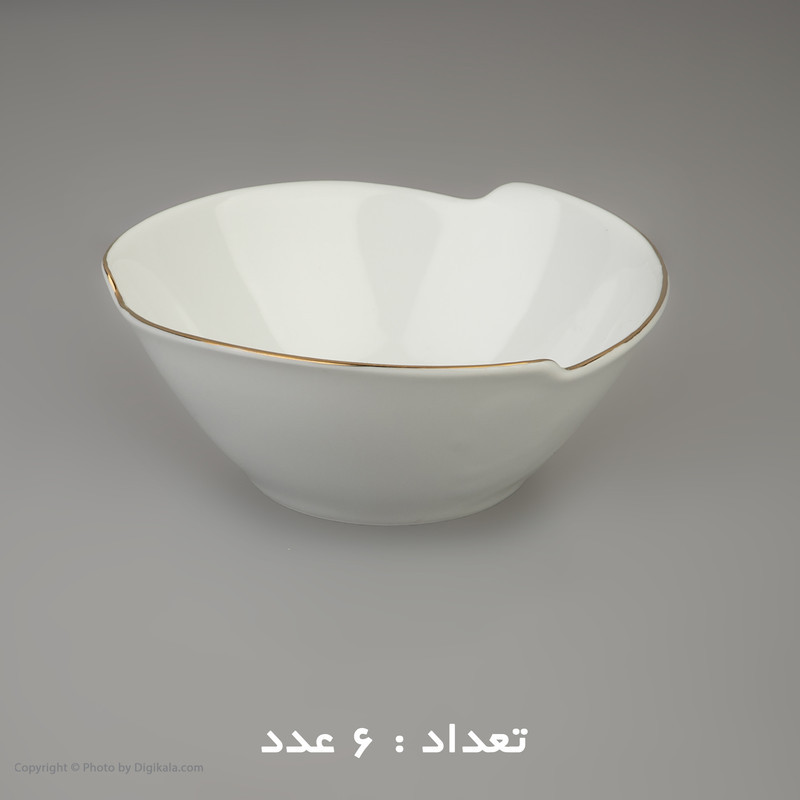 سرویس غذا خوری 30 پارچه شرکت صنایع چینی تقدیس مدل خط طلا