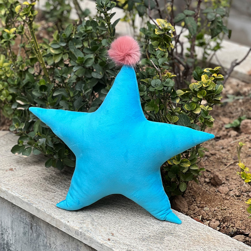 کوسن فوروارد مدل بالش سفری فوروارد کد FCLT500504STAR