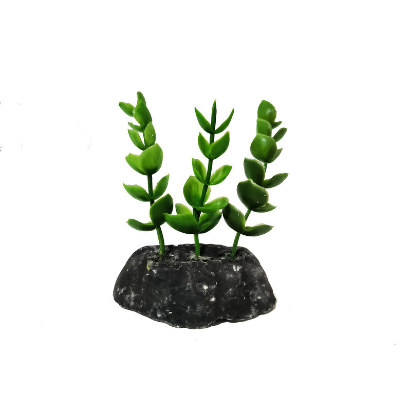 گیاه تزیینی آکواریوم کد VB09 مجموعه 10 عددی