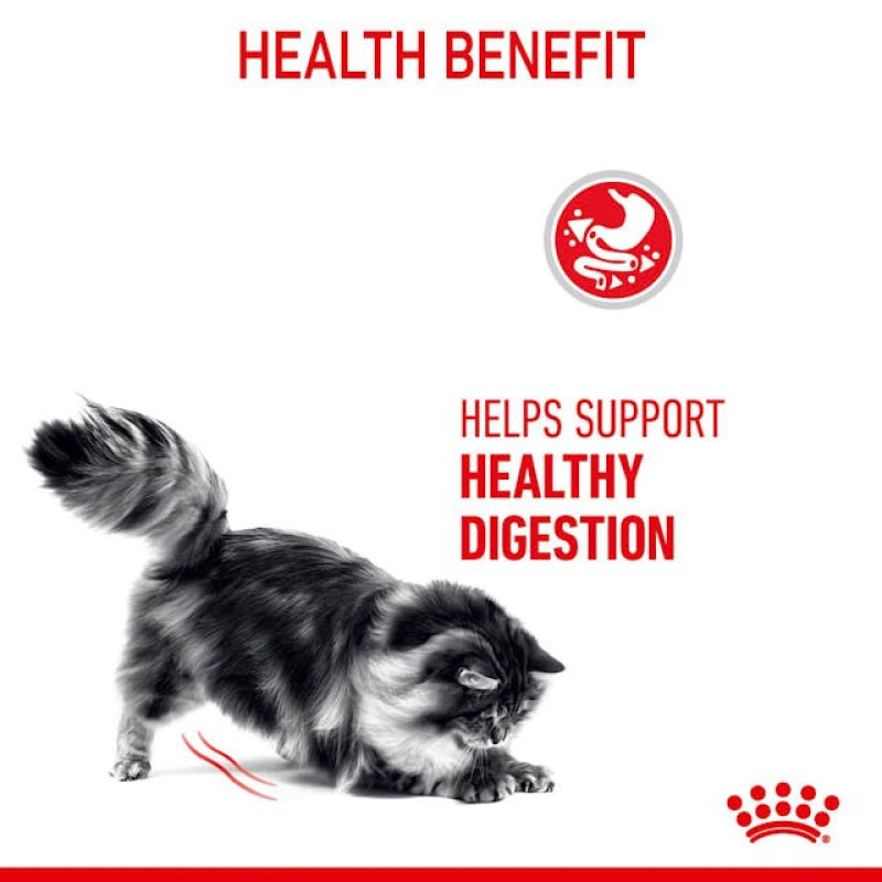 غذای خشک گربه رویال کنین مدل Digestive Care مراقبت از سیستم گوارش وزن 2 کیلوگرم