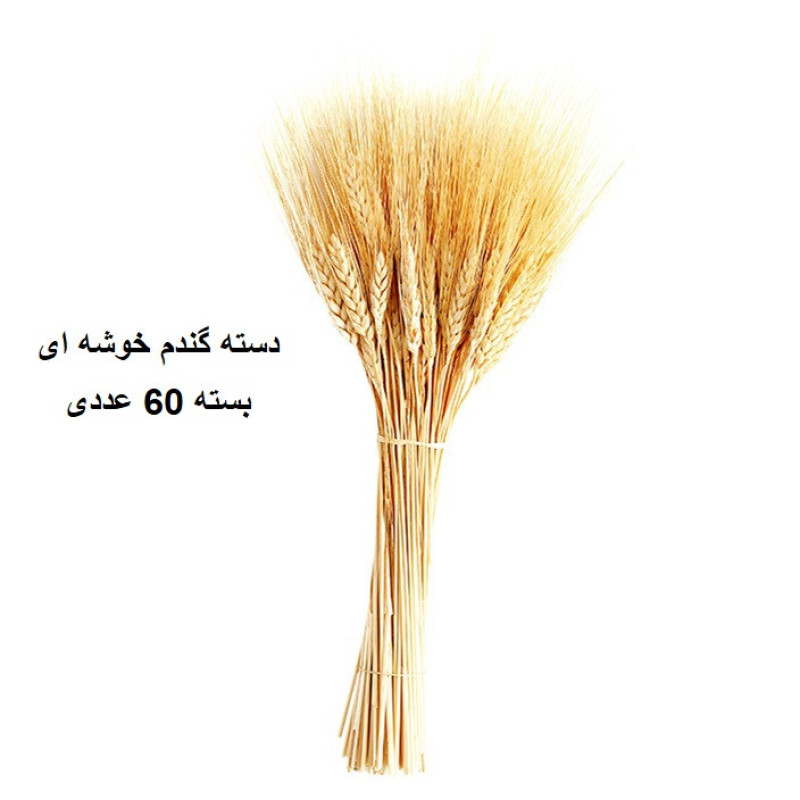 دسته گل خشک مدل خوشه گندم کد 60