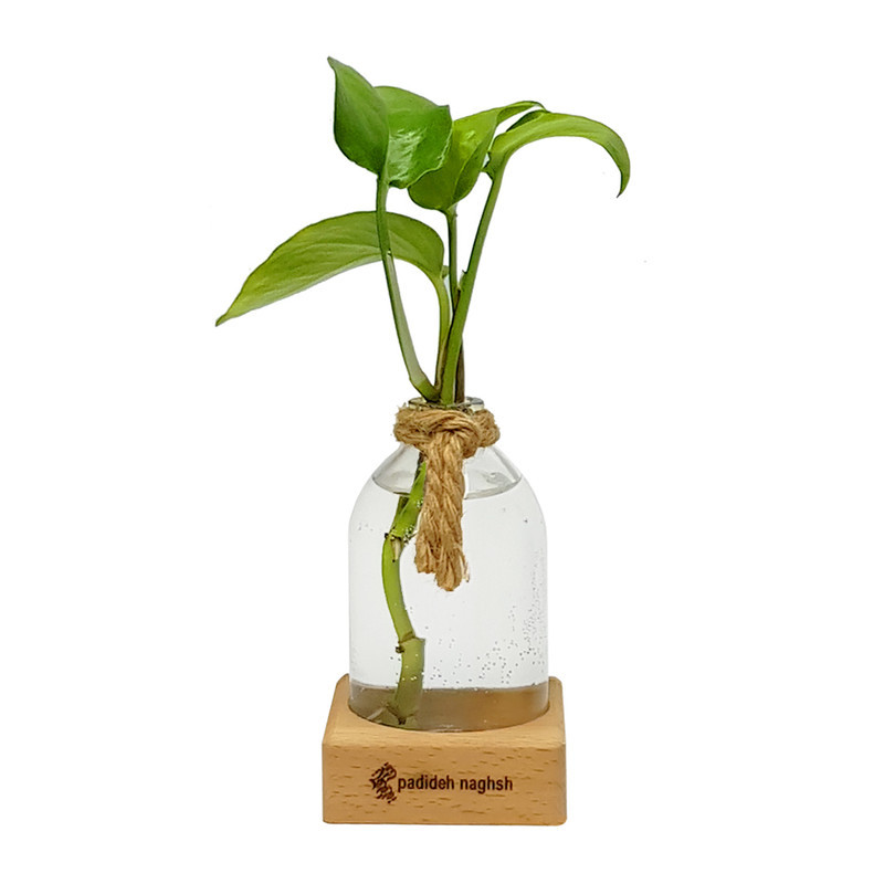 گلدان دکوری پدیده نقش مدل plant place
