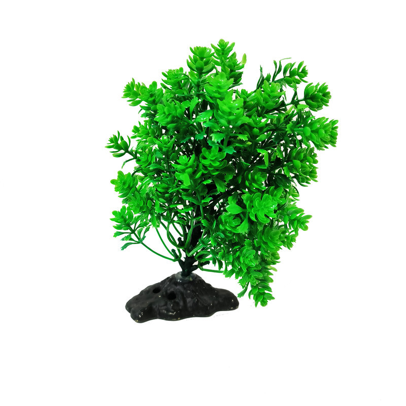 گیاه تزیینی آکواریوم کد VB02 مجموعه 2 عددی