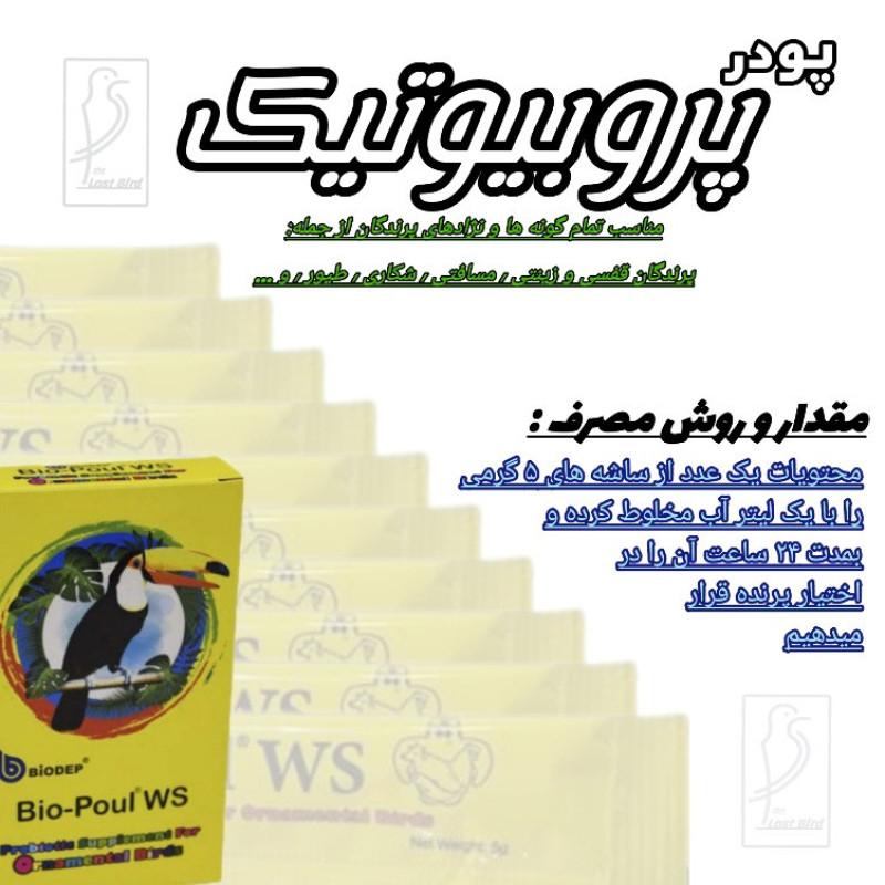 پودر پروبیوتیک پرندگان مدل ساشه کد 8x5gr حجم 40 گرم مجموعه 8 عددی