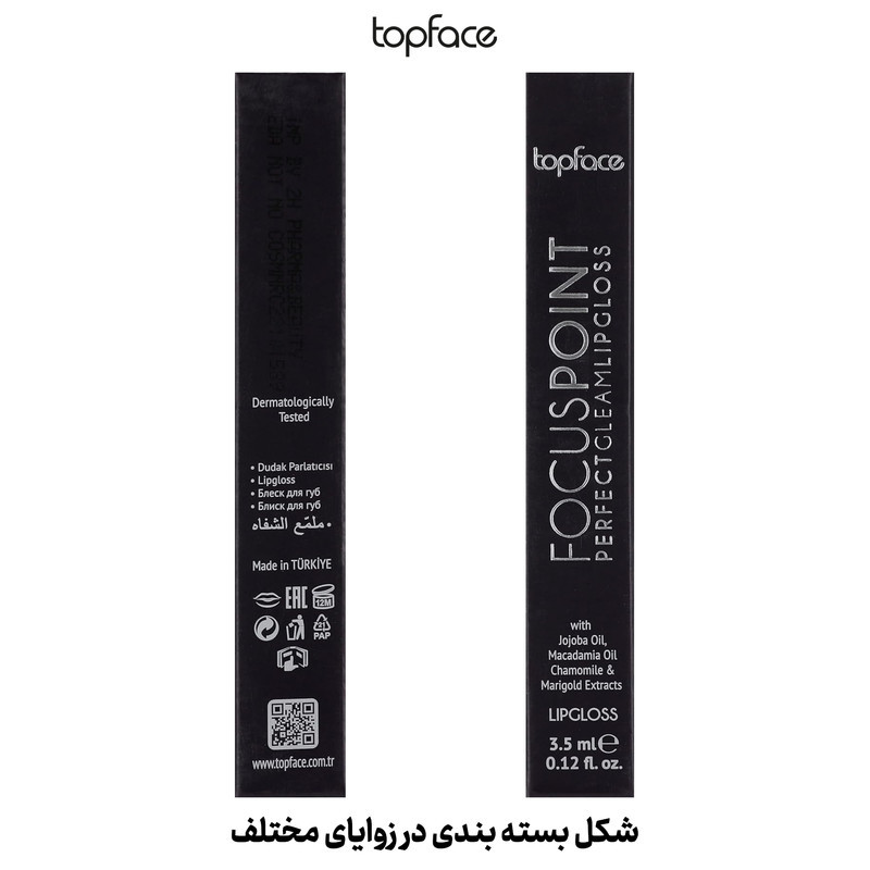رژ لب مایع تاپ فیس مدل Perfect Gleam Lip Gloss Focus Point شماره 113