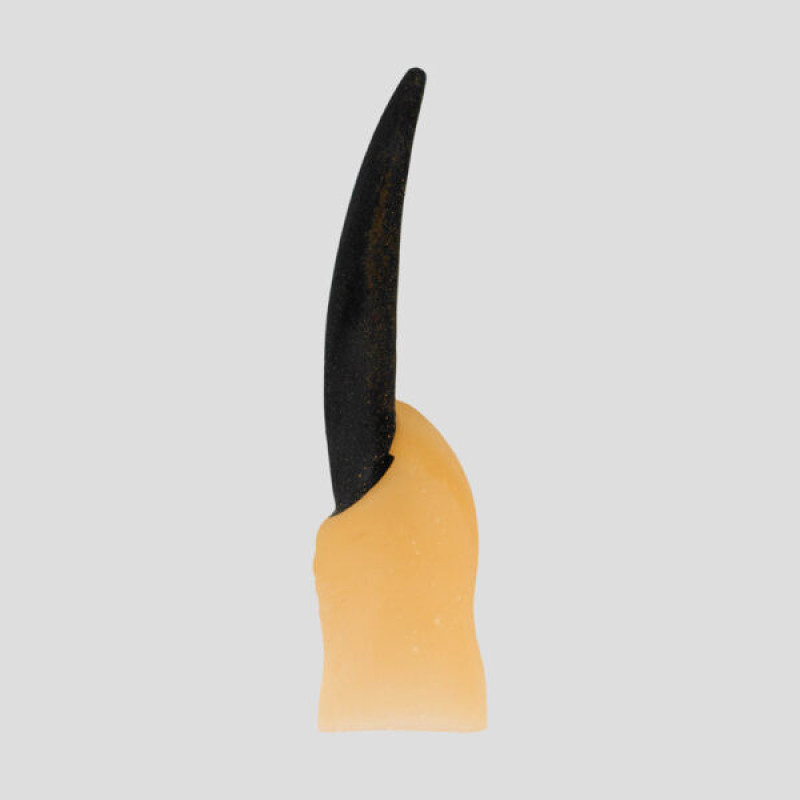 ابزار شوخی مدل SK-Sst-460d2 انگشت و ناخن بسته ده عددی