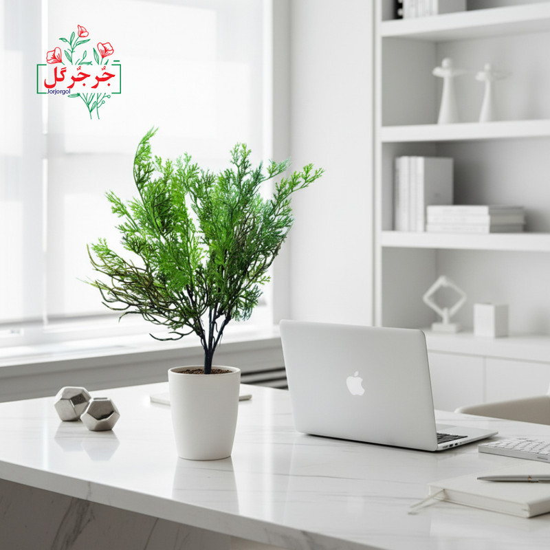 گل مصنوعی جُرجُرگل مدل بوته شوید 5 بازو بسته 2 عددی