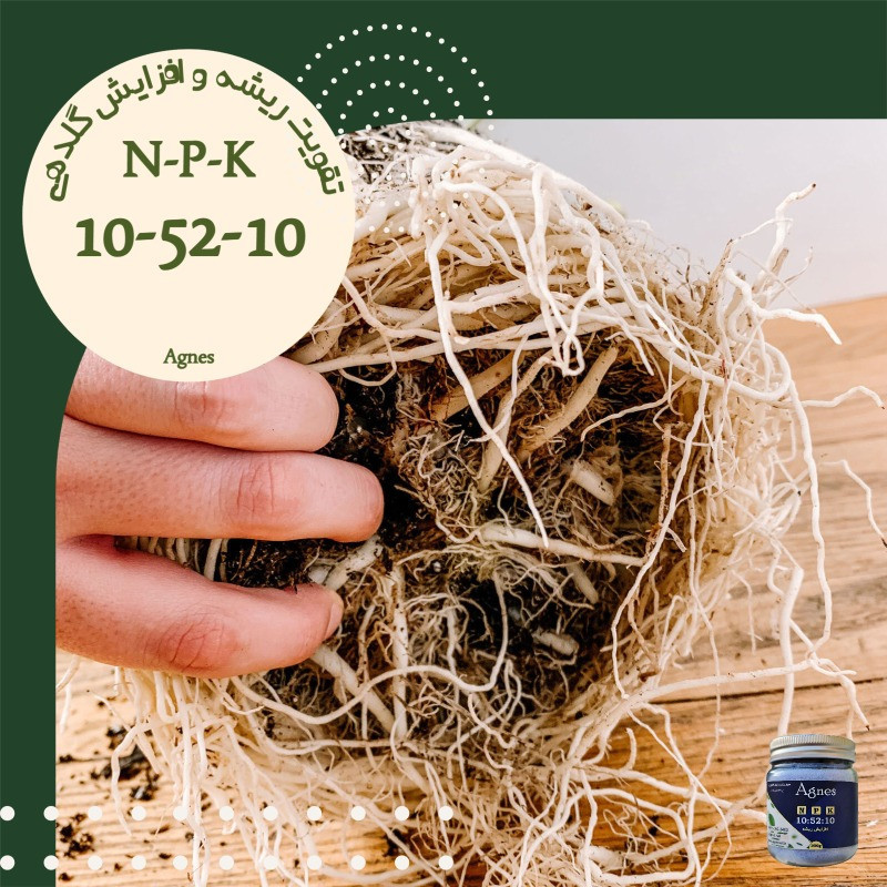 کود ریشه زا آگنس مدل Ag-NPK 10-52-10  وزن 300گرم