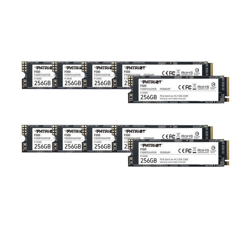 اس اس دی اینترنال پتریوت مدل P300 ظرفیت 256 گیگابایت