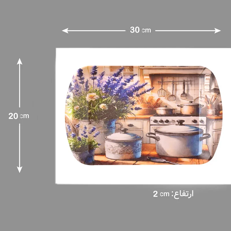 سینی دسته دار مهروز مدل A-1002  سایز 20×30 سانتی متر