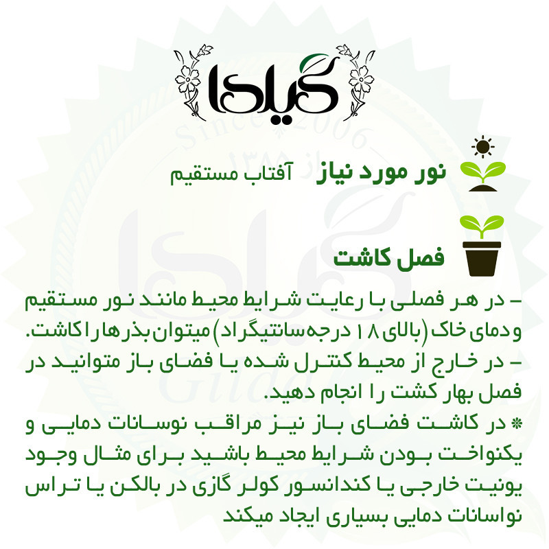 بذر جعفری گیلدا کد 113