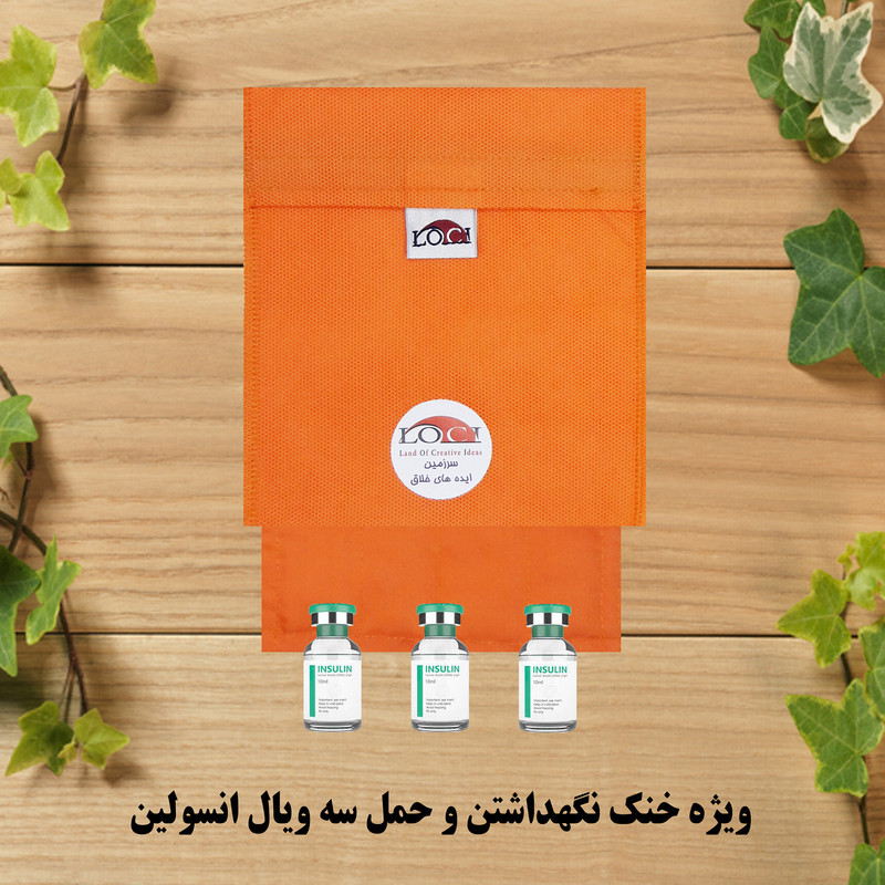 کیف خنک نگهدارنده انسولین لوک آی مدل 3 ویال کد 00 مجموعه 2 عددی