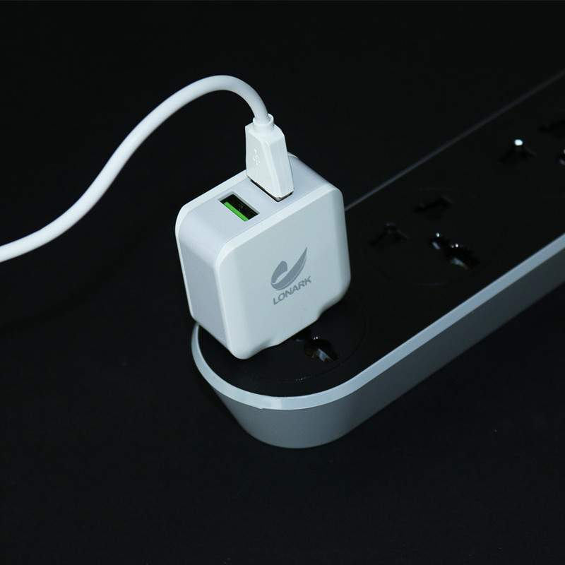 شارژر دیواری 12 وات لونارک مدل LW55 به همراه کابل تبدیل Micro USB