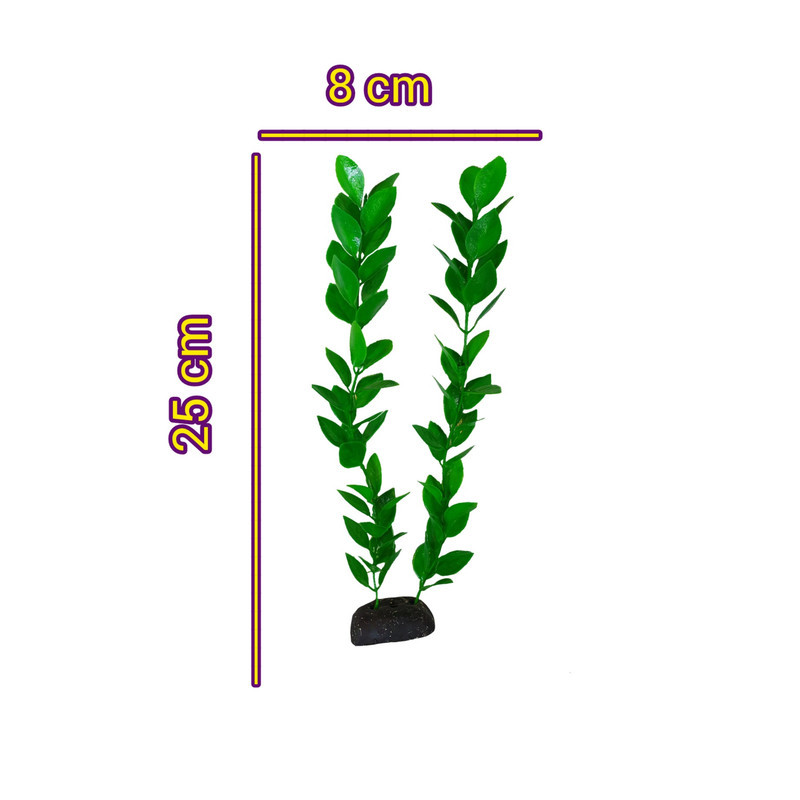 گیاه تزیینی آکواریوم مدل لودویجیا s30