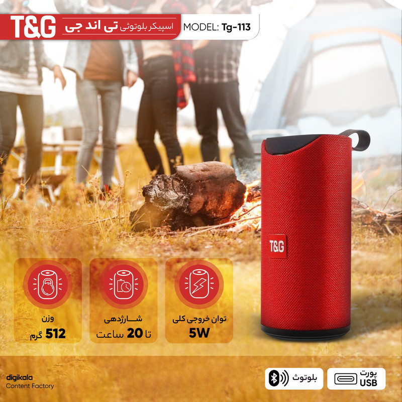 اسپیکر بلوتوثی قابل حمل تی اند جی مدل Tg-113