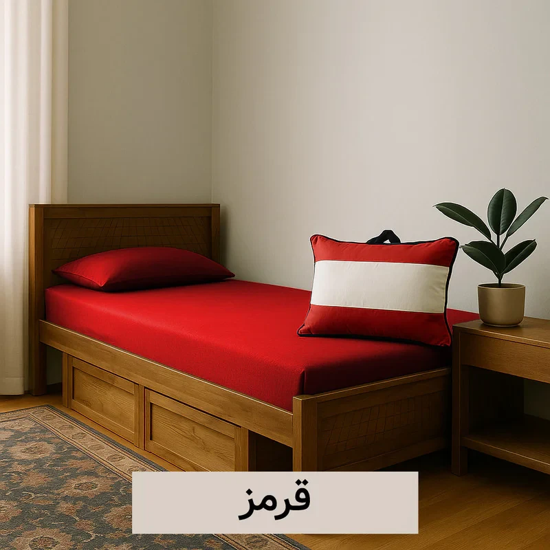 سرویس ملحفه 1 نفره 3 تکه کوکو جم مدل روبن