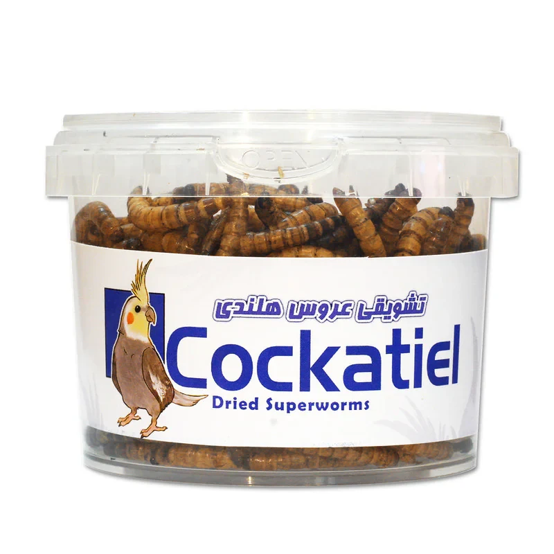 تشویقی عروس هلندی Cockatiel مدل سوپرورم ۶۰ گرم