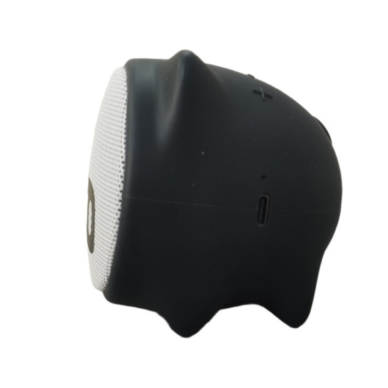اسپیکر قابل حمل گریت نایس مدل GTS-2140