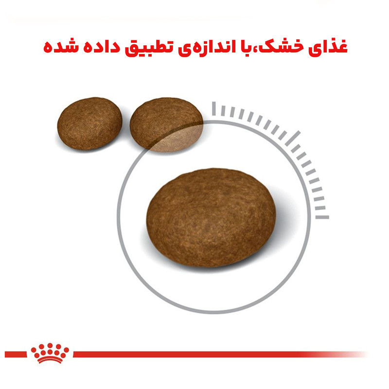 غذای خشک گربه رویال کنین مدل Hair and Skin Care مراقبت از پوست و مو وزن 2 کیلوگرم