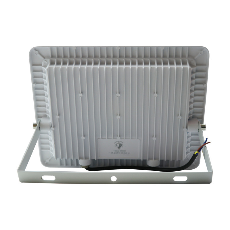 پرژکتور 100 وات نیرو الکتریک کد IP66_S