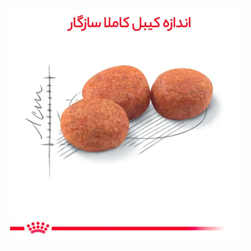 غذای خشک گربه بالغ عقیم شده رویال کنین مدل sterilised وزن 4000 گرم