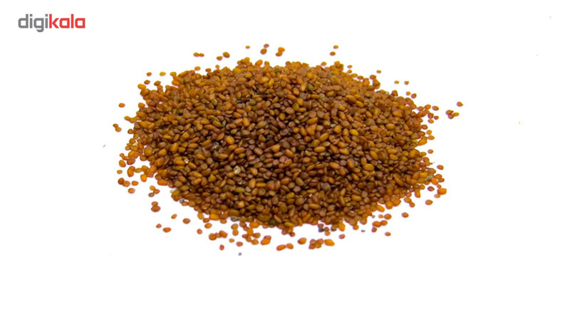 بذر چمن آکواریوم کد GS-003