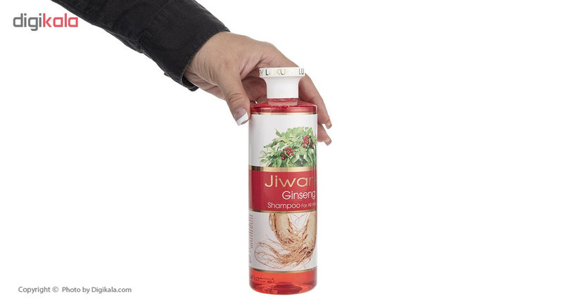 شامپو ژیوانا مدل Ginseng حجم 500 میلی لیتر