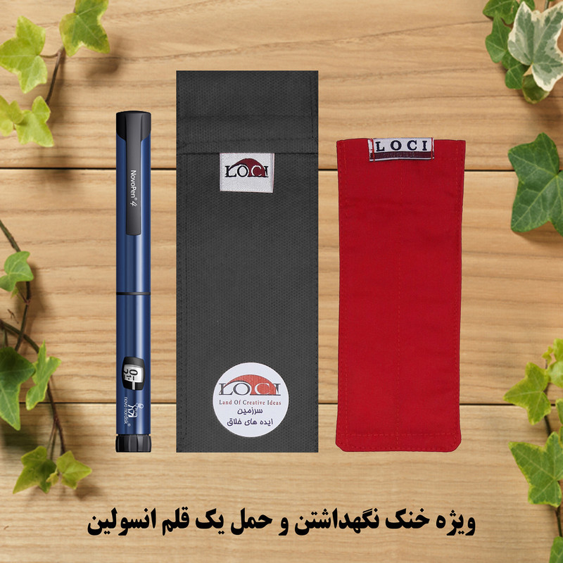 کیف خنک نگهدارنده انسولین لوک آی مدل 1 قلم کد 01 مجموعه 2 عددی