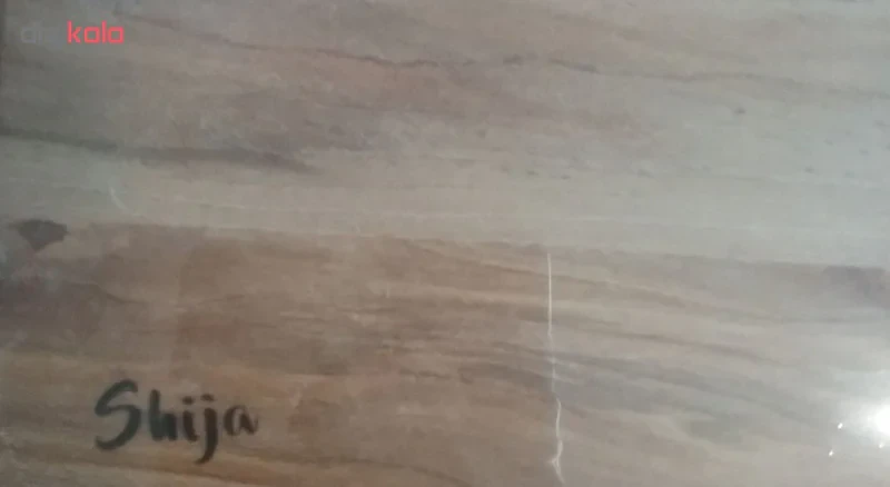 سینی تخت متوسط شیجا مدل خودرنگ