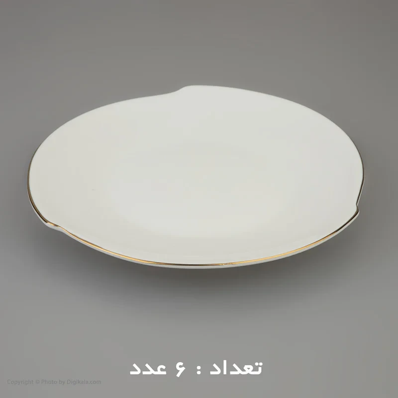 سرویس غذا خوری 30 پارچه شرکت صنایع چینی تقدیس مدل خط طلا