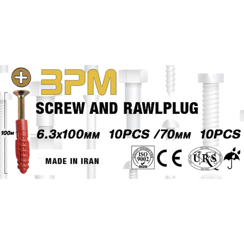 پیچ و رولپلاک مدل 100-6.3-2 مجموعه 20 عددی