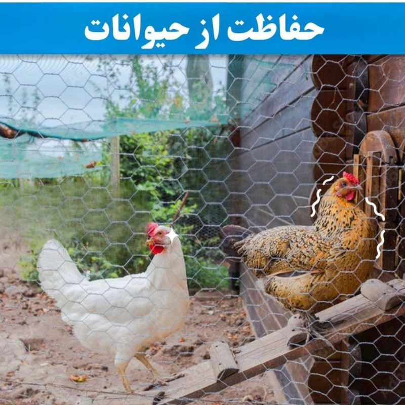 توری مرغی مدل فرنگی H120طول 20 متر