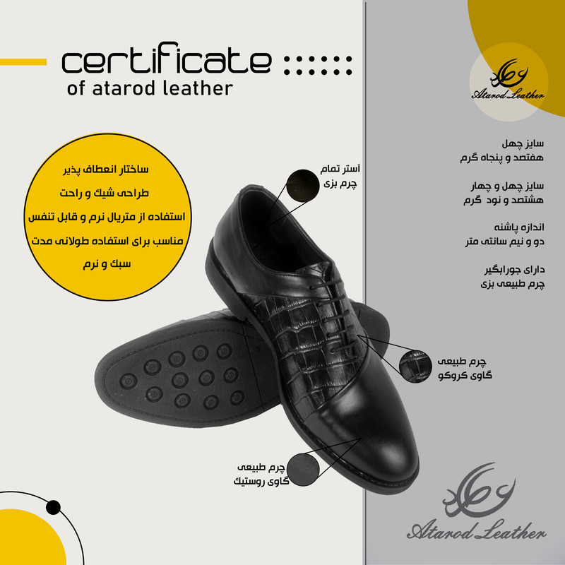 کفش مردانه چرم عطارد مدل چرم طبیعی کد SH205