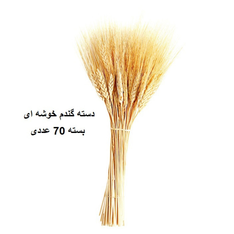 دسته گل خشک مدل خوشه گندم کد 70