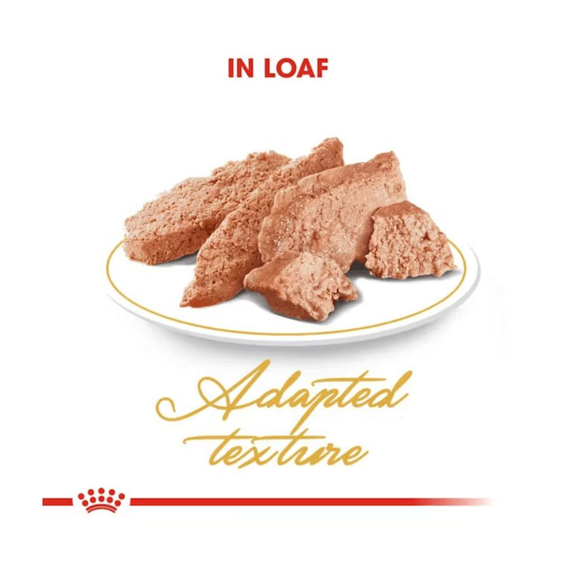 پوچ گربه رویال کنین مدل persian adult وزن 85 گرم