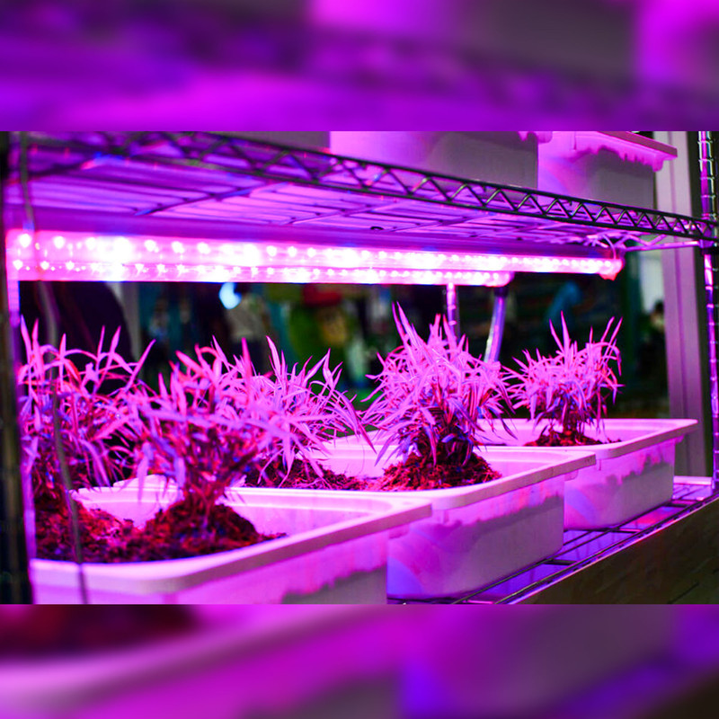 ریسه ال ای دی رشد گیاه 18 وات مدل فول اسپکتروم 220v بسته 2 عددی