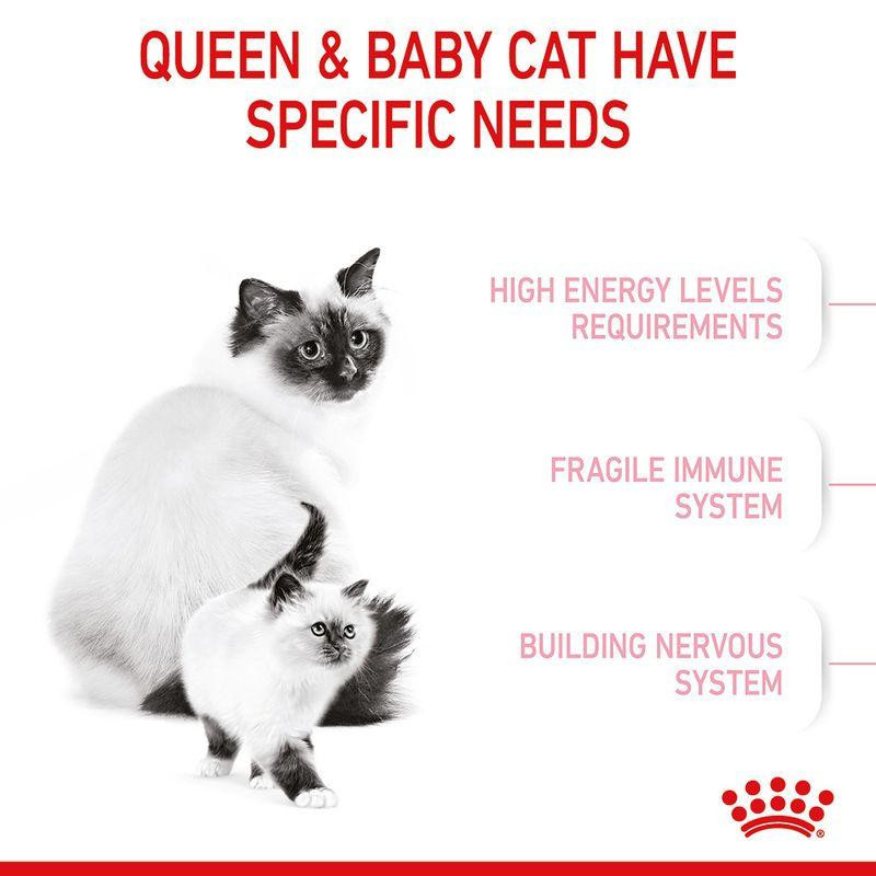 غذای خشک مادر و بچه گربه رویال کنین مدل Mother & Baby Cat وزن 10 کیلوگرم