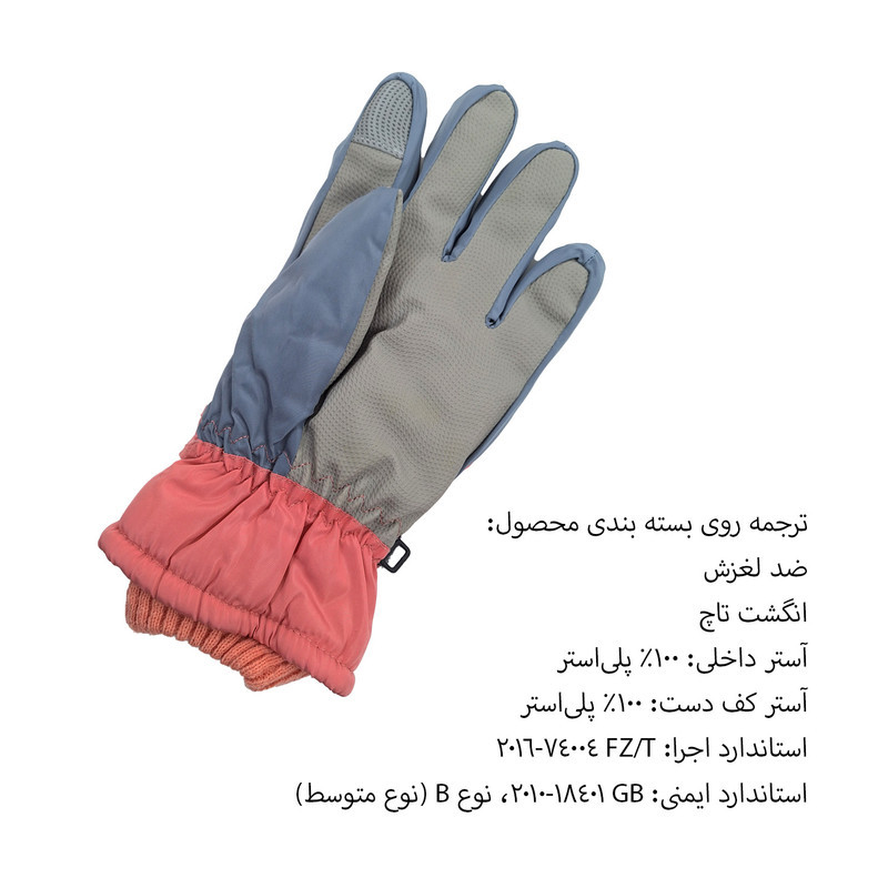 دستکش موتورسواری مدل 2RAN کد 2082