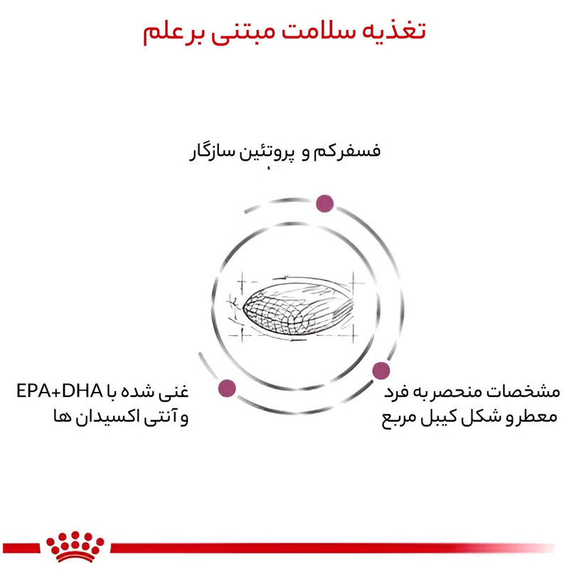 غذای خشک سگ رویال کنین مدل رنال وزن 2 کیلوگرم
