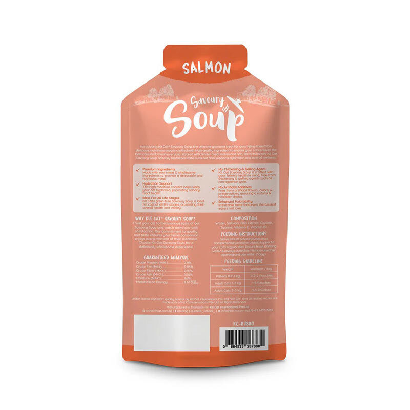پوچ گربه بالغ کیت کت مدل Savoury طعم ماهی سالمون وزن ۵۰ گرم