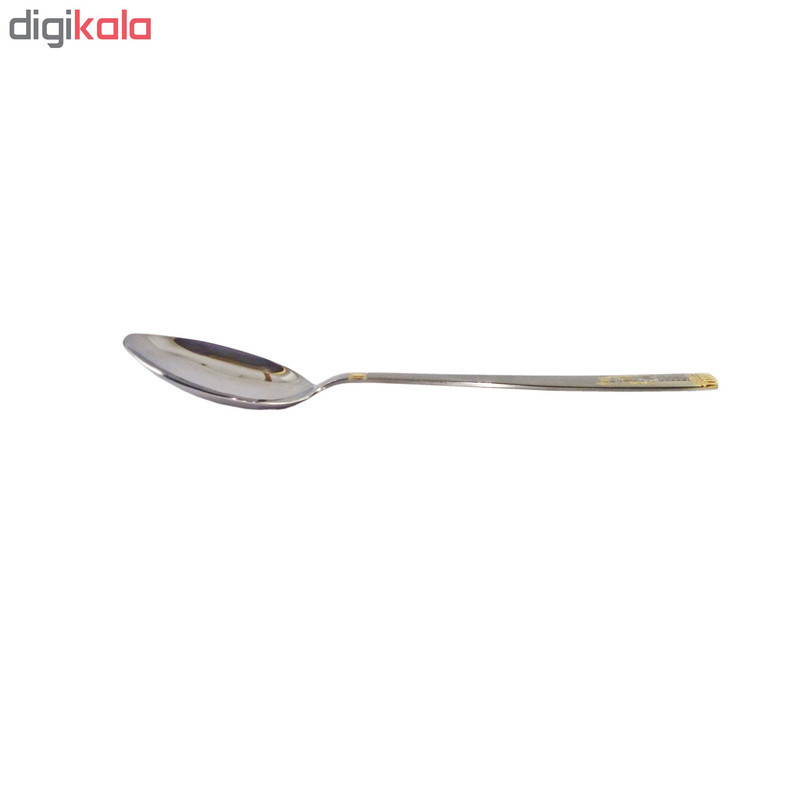 قاشق اجیل خوری نیوهوم کد 0820 طرح هخامنش